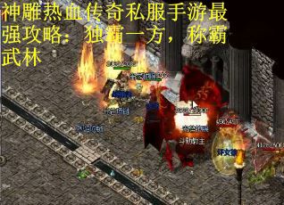 神雕热血传奇私服手游最强攻略：独霸一方，称霸武林