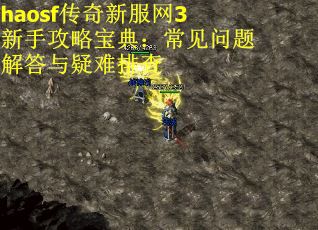 haosf传奇新服网3新手攻略宝典：常见问题解答与疑难排查